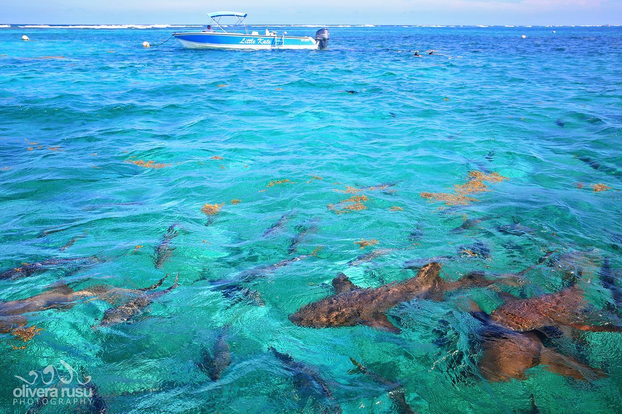 Cayo Espanto San Pedro  Εξωτερικό φωτογραφία